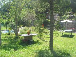 Vrt pred nastanitvijo Casa in Königs GarteN