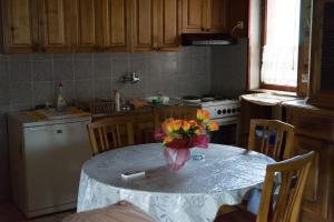 Η κουζίνα ή μικρή κουζίνα στο Apartmani Teodor