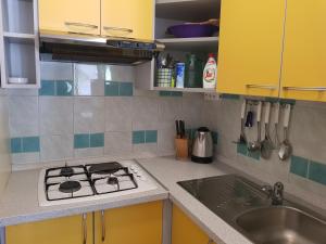 Kuchyň nebo kuchyňský kout v ubytování Apartment Ruzmarin