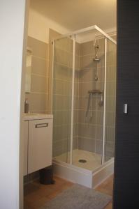 ヴァンヌにあるAppartement Prat Lannのバスルーム(ガラスドア付きのシャワー付)