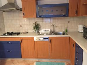 ノヴァ・ゴリツァにあるApartment Nova Gorica - Nočitve Falcoの木製のキャビネットとシンクを備えたキッチン