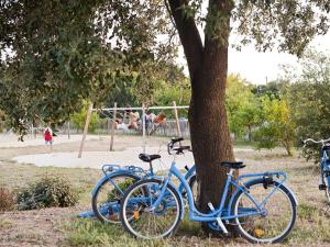 deux vélos bleus garés à côté d'un arbre dans un parc dans l'établissement Huttopia Noirmoutier, à Noirmoutier-en-l'lle