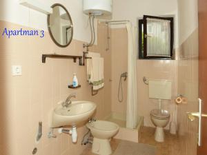 ein Badezimmer mit einem Waschbecken, einem WC und einem Spiegel in der Unterkunft Apartmani Ivo in Petrcane