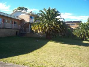 a house with two palm trees in front of a yard at Bayview Motor Inn in Eden