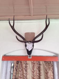 Φωτογραφία από το άλμπουμ του Prince Hotel Mallroad σε Mussoorie