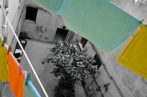 a plant in a planter under an umbrella at B&B Lost in Trastevere in Rome