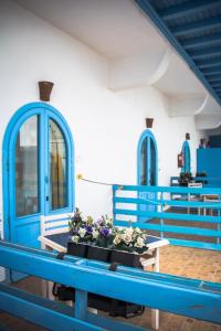 un gruppo di panchine blu con sopra dei fiori di El Primo Hotel Dahab a Dahab