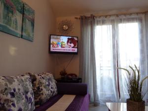 TV a/nebo společenská místnost v ubytování I & S Apartments