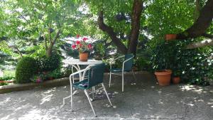 トラマカスティリャ・デ・テナにあるHotel Marianaの椅子2脚とテーブル(花付)
