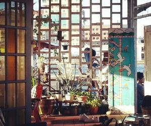 a window with potted plants and a view of a city at Kunyit 7 Lodge in Bandar Seri Begawan