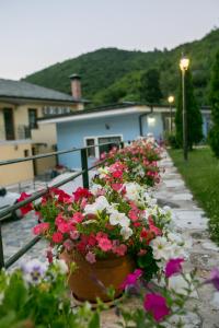 a bunch of flowers in a pot on a railing at Neromylos in Nikísiani
