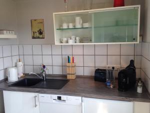 een keuken met een wastafel en een aanrecht bij Messewohnung Augusta in Wuppertal