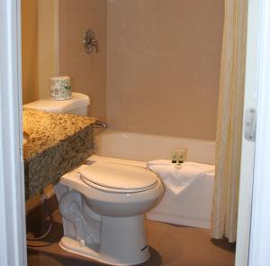 La salle de bains est pourvue de toilettes et d'une baignoire. dans l'établissement The Hollywood Gateway Inn, à Hollywood