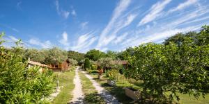 un jardín con árboles y un camino de tierra en Au Pays de Cocagne, en Nyons