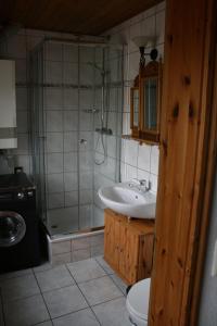 ein Bad mit einem Waschbecken, einer Dusche und einem WC in der Unterkunft Zur alten Schmiede I Links in Boltenhagen