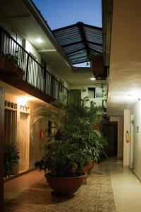 帕爾米拉的住宿－Hotel Pacifico，相簿中的一張相片