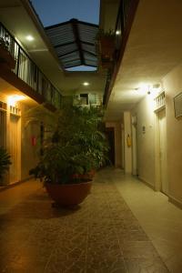um corredor com grandes vasos de plantas num edifício em Hotel Pacifico em Palmira