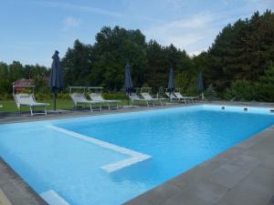 a large blue swimming pool with chairs and umbrellas at Park7 in Tiszafüred