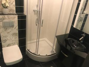 a bathroom with a shower and a toilet and a sink at Apartamenty Puk Puk in Mrągowo +141 photos