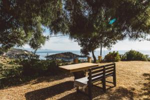 a wooden bench sitting under a tree near the ocean at Panorama Apartments updated with infinity pool in Agios Nikolaos