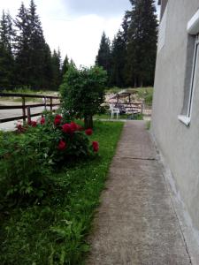 Giardino di Guesthouse Andrea A