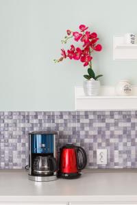 Il comprend une cuisine équipée d'une cafetière et d'un grille-pain. dans l'établissement Great Central Apartment, à Sibiu