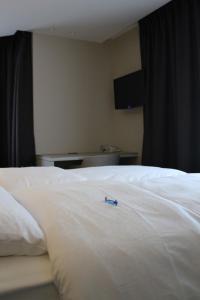 Postel nebo postele na pokoji v ubytování Hotel Astel