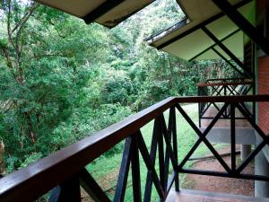 a wooden balcony with a view of a forest at La Selva Biological Station in Sarapiquí