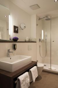 a bathroom with a sink and a toilet and a shower at Hotel Grünwald in Munich