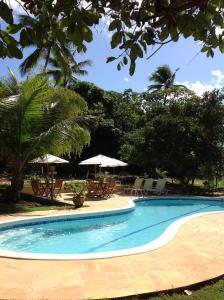 a swimming pool with chairs and umbrellas and trees at Pousada Araçás Village in Imbassai +19 photos