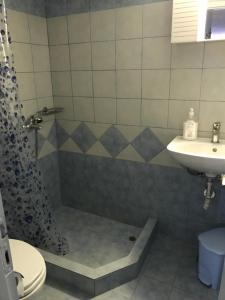a bathroom with a sink and a shower and a toilet at Agia Kyriaki Studios in Agia Kiriaki Beach