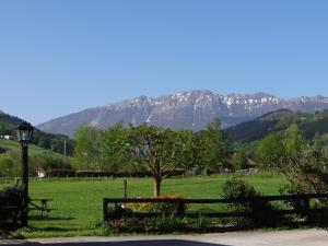 un arbre dans un champ avec des montagnes en arrière-plan dans l'établissement Agroturismo Ondarre, à Segura