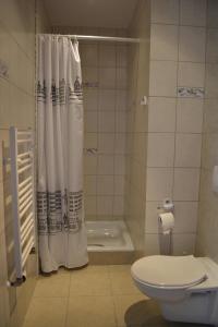 ブワディスワボボにあるWilla Adlerのバスルーム(トイレ、シャワー付)