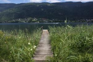 Paesaggio naturale nelle vicinanze dell'affittacamere