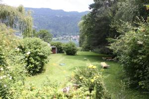 Paesaggio naturale nelle vicinanze dell'affittacamere