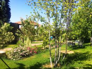 Zahrada ubytování Master's Hotel - Ehden