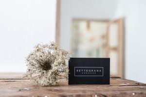 Fotografie z fotogalerie ubytování Settegrana v destinaci Cinisi