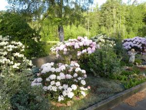 Zahrada ubytování Hillesgården