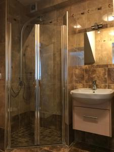 a bathroom with a shower and a sink at U Macieja z kortem tenisowym in Kłodzko +65 photos