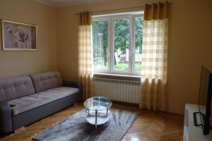 Apartament Planty في زاموسك: غرفة معيشة مع أريكة ونافذة