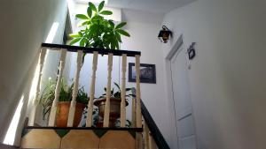Fotografie z fotogalerie ubytování Apartment Silvia v destinaci Kaštela