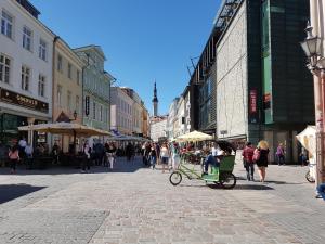 Foto dalla galleria di Old Town Apartment a Tallinn
