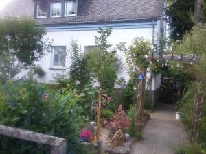 un jardín frente a una casa blanca en Gudrun Waegner, en Welcherath