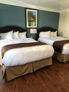 2 camas en una habitación de hotel con paredes azules en Rex Motel, en Ventura
