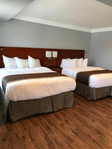 2 camas en una habitación de hotel con suelo de madera en Rex Motel, en Ventura