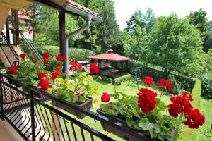 兹拉蒂博尔Apartments Junior的相册照片