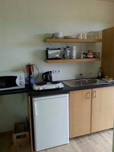 Kuchyň nebo kuchyňský kout v ubytování Guesthouse Hvítafell