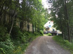 uma estrada de terra em frente a uma casa com árvores em Domsjö Apartment em Örnsköldsvik