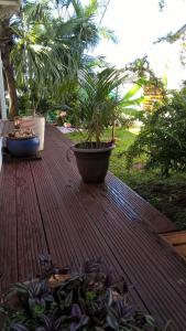 Aed väljaspool majutusasutust Cap Martinique