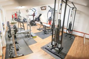Fitness centrum a/nebo fitness zařízení v ubytování Abbaidda Hotel